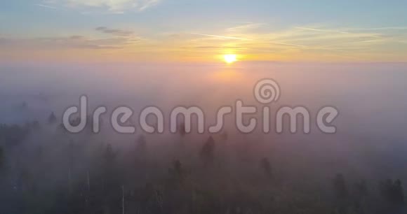 雾蒙蒙的早晨在沼泽耶尔尼亚视频的预览图