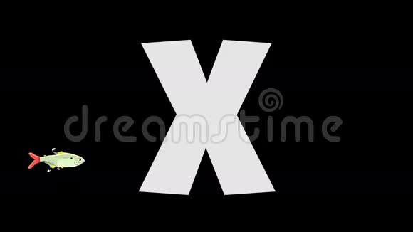 字母X和X射线鱼前景视频的预览图