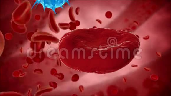 病毒细菌微生物杀死血细胞埃里特医学概念HUD视频的预览图