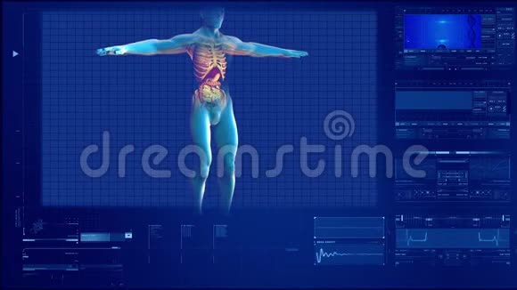 对人体的扫描视频的预览图