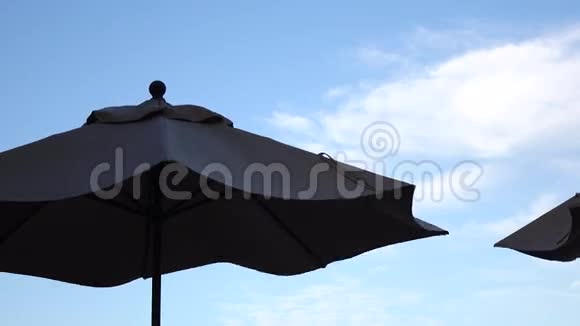 雨伞视频的预览图