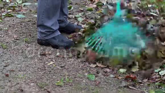 工人用耙子收集公园里的树叶视频的预览图