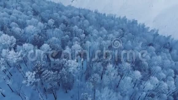 鸟瞰冬林视频的预览图