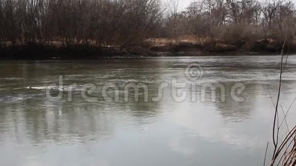 山水山河在春视频的预览图