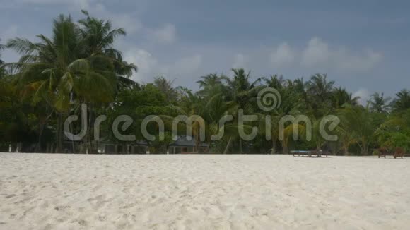 美丽的热带海滩马尔代夫有白沙和棕榈树视频的预览图