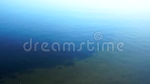 夏季河流背景水视频的预览图