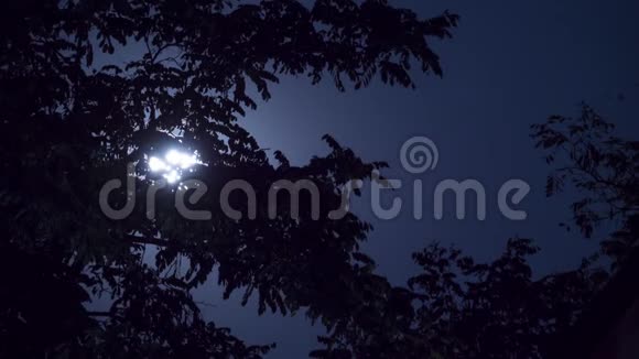 满月通过树和乌云在夜空中移动时间推移视频的预览图