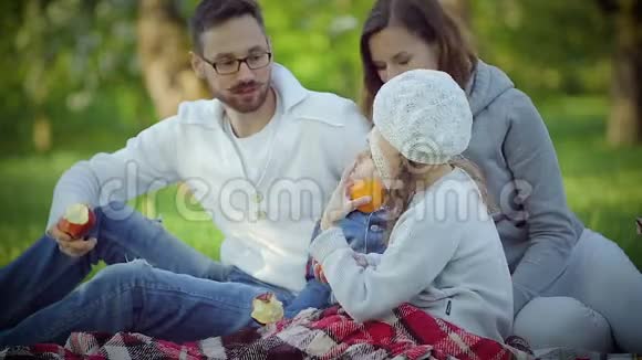 在草地上的公园里的家庭野餐视频的预览图