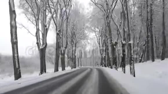穿过森林的冬季道路视频的预览图