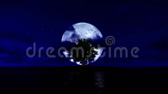 孤岛上孤独的树有着海洋和满月倾斜着视频的预览图