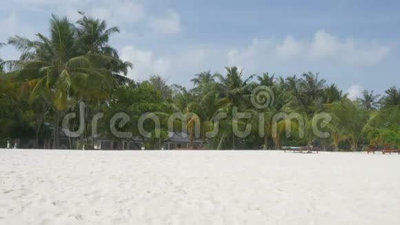 美丽的热带海滩马尔代夫有白沙和棕榈树视频的预览图