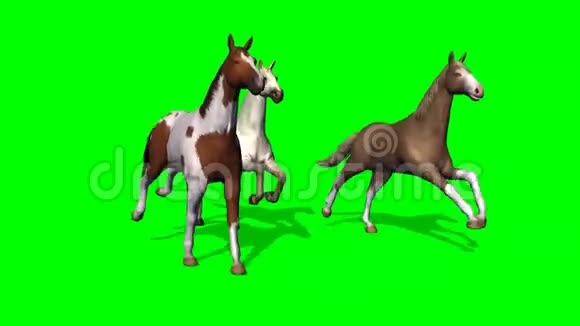 绿色屏幕上有几匹飞驰的马视频的预览图