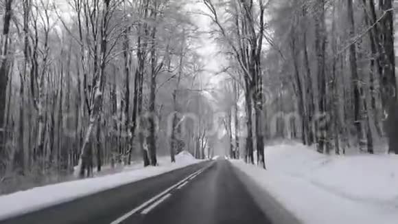 穿过森林的冬季道路视频的预览图