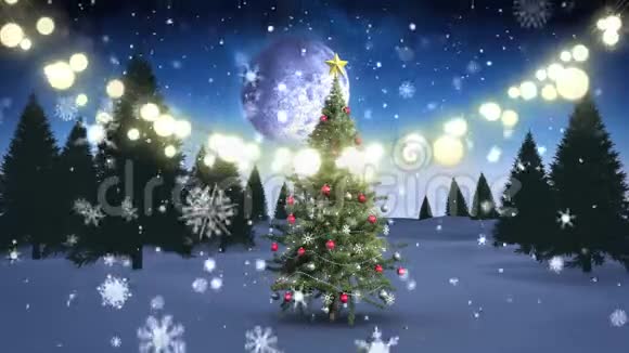 闪烁着一串串串的仙女灯和圣诞树视频的预览图