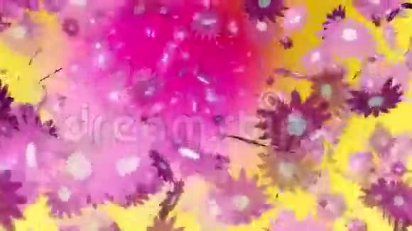 黄色的粉红色花朵视频的预览图