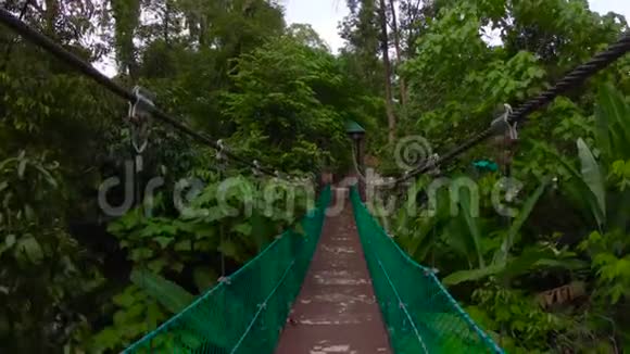 吉隆坡生态公园的吊桥视频的预览图