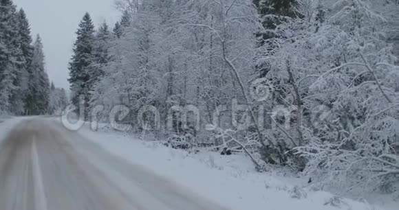 乡村路中的冬林视频的预览图