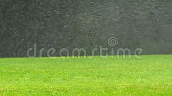 春天公园里下大雨视频的预览图