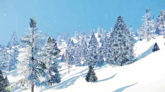 雪天4K冬季雪景视频的预览图