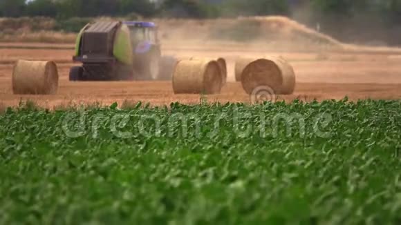 收获于麦田农业视频的预览图