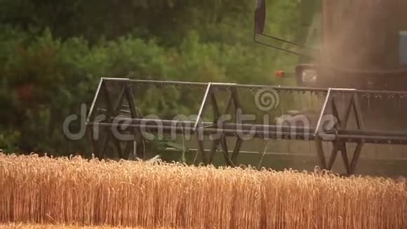 收获于麦田农业视频的预览图