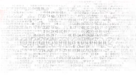 十六进制代码运行在计算机屏幕上的白色背景蓝色数字停止背景视频的预览图