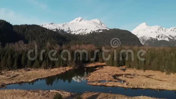 从阿拉斯加来的壮观景色视频的预览图
