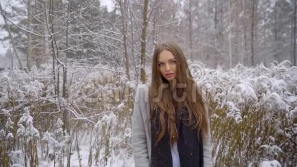 美丽的年轻女子正在冬天的公园里户外散步慢动作年轻时尚冬季肖像视频的预览图