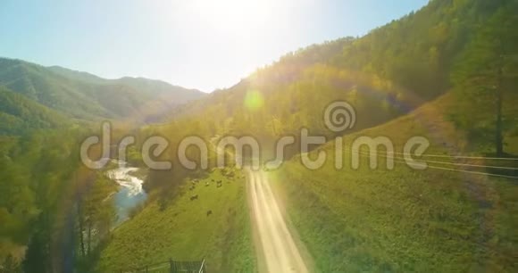 在阳光明媚的夏季早晨低空飞行在带岩石的新鲜快山河上视频的预览图