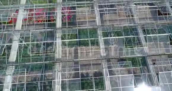 飞越一个有花的大温室一个有可伸缩屋顶的温室从上面可以看到温室生长着视频的预览图
