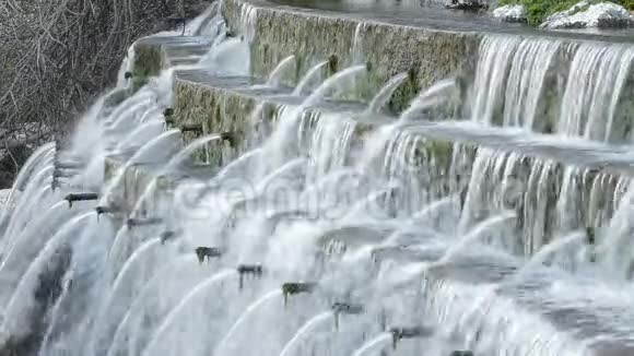 有多根管道的天然泉水在山上排出水视频的预览图