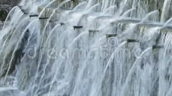 有多根管道的天然泉水在山上排出水视频的预览图