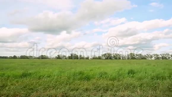 绿色的田野和蓝天云在缓慢的运动1920x1080视频的预览图
