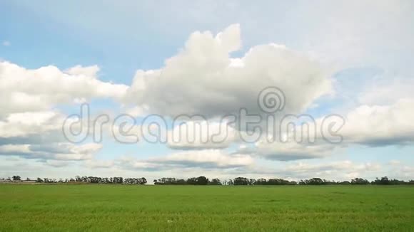 绿色的田野和蓝天云在缓慢的运动1920x1080视频的预览图