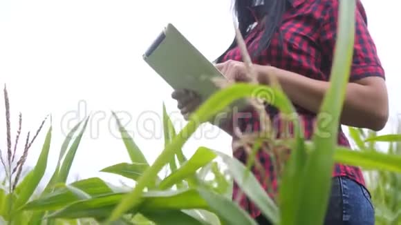 智慧生态农业养殖理念农民女孩植物研究员使用和生活方式触摸平板电脑同时检查视频的预览图