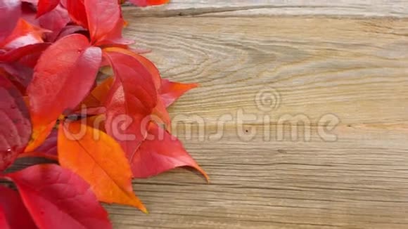 落叶在旧木背景上视频的预览图