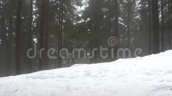 冬天的森林里背着背包散步的人视频的预览图