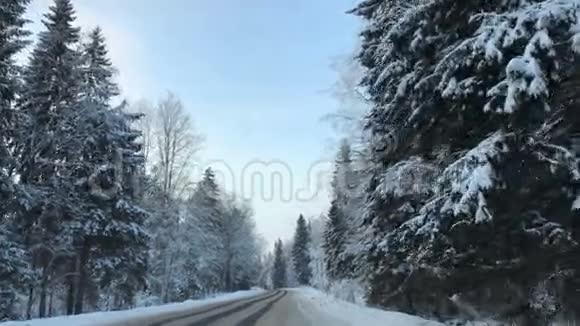 车辆行驶冬季雪林路时从车载摄像头的正面观看视频的预览图