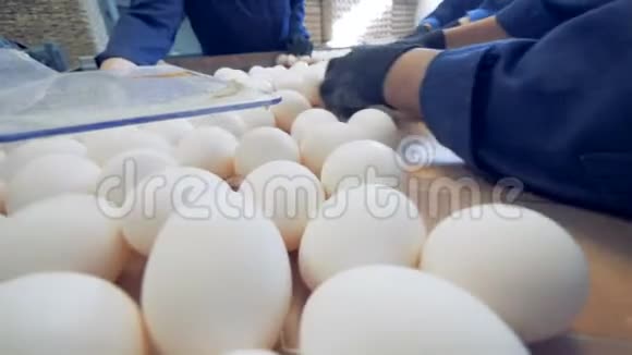 家禽养殖场分类桌上的白鸡蛋特写视频的预览图