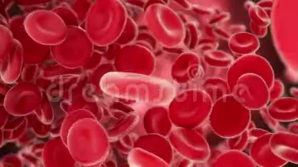 穿过动脉的血细胞视频的预览图