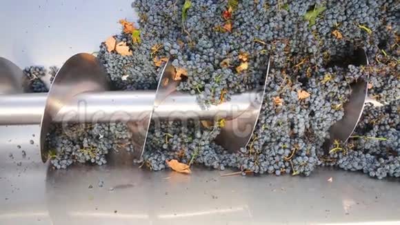赤霞珠葡萄酿酒中的螺旋破碎机视频的预览图