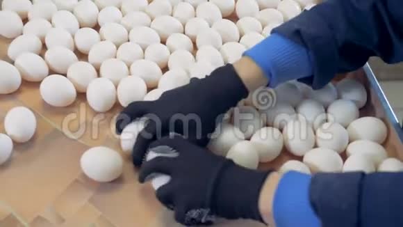 很多鸡蛋都是在农场分类的俯视图视频的预览图