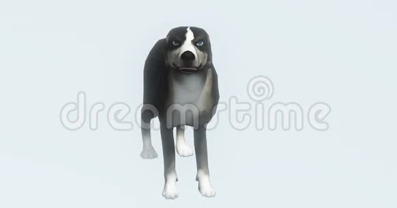 狗3D卡通可爱的宠物动物轮廓视频的预览图