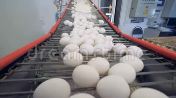 工厂输送机移动鸡蛋关闭专线将鸡蛋移至托盘进行分拣视频的预览图