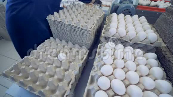 农场工人把鸡蛋放在纸板托盘上堆放成堆视频的预览图