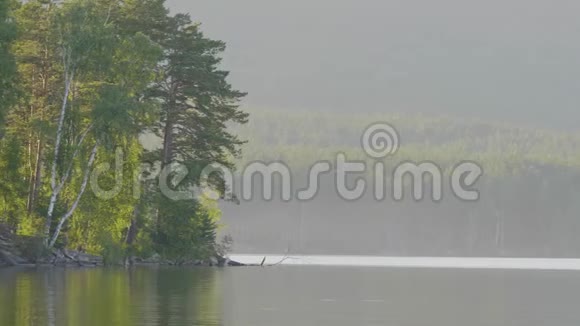 美丽的蓝色清澈的水在湖岸森林湖的景色视频的预览图