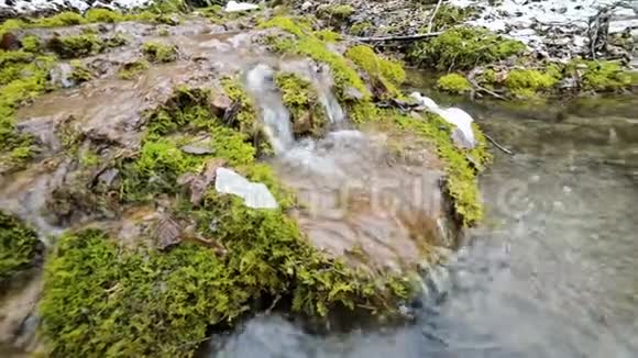 特写冬林梯级溪流四周青苔石化高山水体中矿物含量高视频的预览图