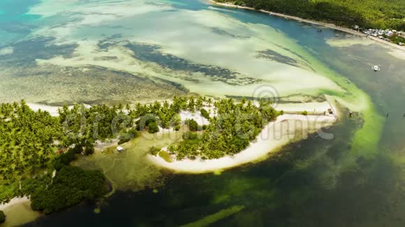 热带海滩棕榈树鸟瞰图视频的预览图