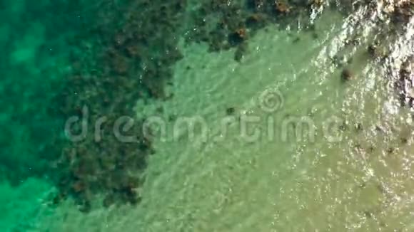 带蓝色海洋和珊瑚礁的热带景观视频的预览图
