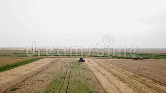 现代联合收割小麦田间空中景观视频的预览图